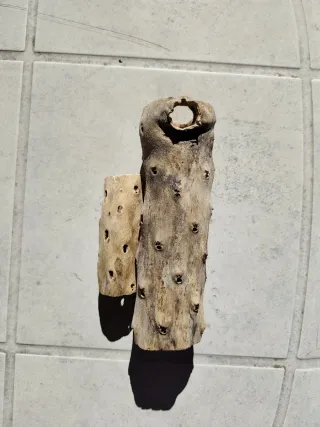 Raíz/tronco/madera Cholla Decoración acuario/hogar