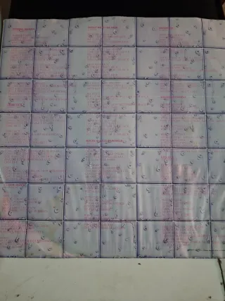 Vinilo Fusión Miguel Bose Chicas Edición Especial