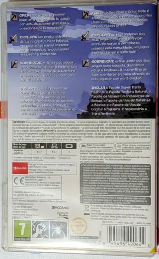 Minecraft Nintendo Switch