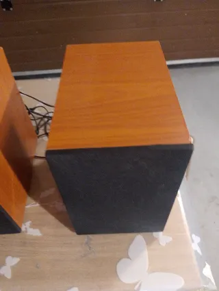 Par de Altavoces para reproductor de musica