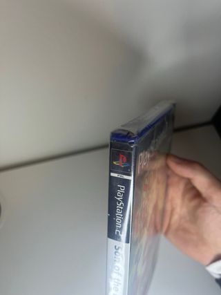 Son of the Lion King PS2