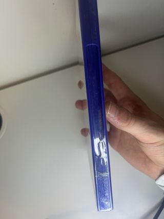 Son of the Lion King PS2