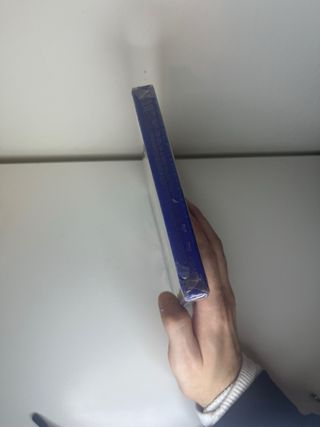 Son of the Lion King PS2