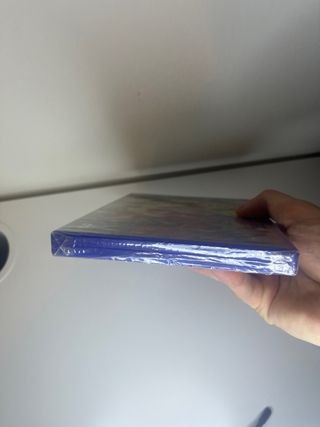 Son of the Lion King PS2