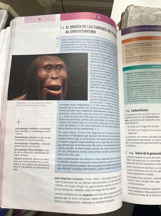 Filosofía I 1º Bachillerato