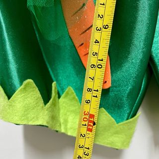 Vestito di Carnevale (La Terra) 3/5y - Promo 3×2