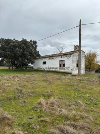 FINCA RÚSTICA 2 HA