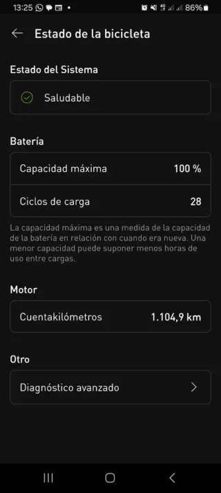 Specialized Turbo Levo SL