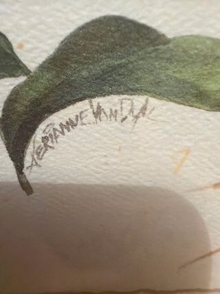 Cuadro acuarela flores moradas