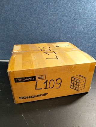 SONGMICS Cajas Zapatos Zapatero 12 pcs