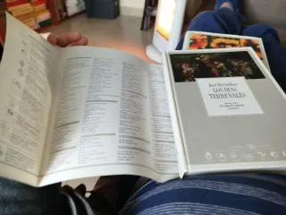 Los días terrenales