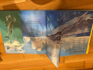 Ballenas y delfines (Mundo Animal/ Animal World...