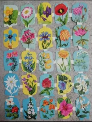 Lamina Cromos troquelados Edivas 9.Flores Vintage