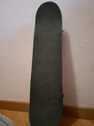 Skate Globe Since 1994