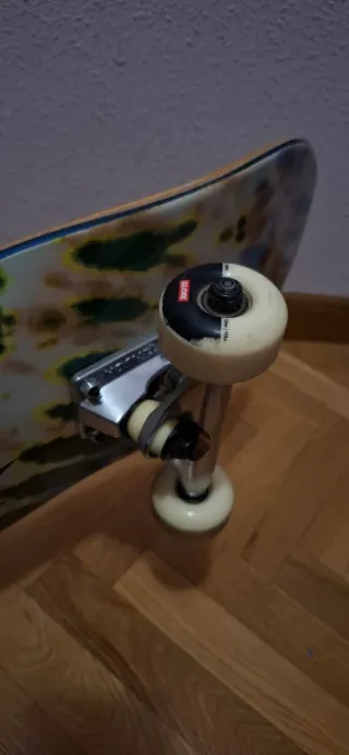 Skate Globe Since 1994