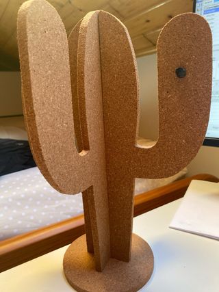 Cactus de corcho para fotos