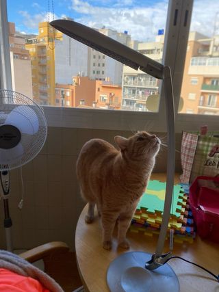 Lámpara de escritorio LED plateada