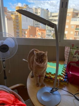 Lámpara de escritorio LED plateada