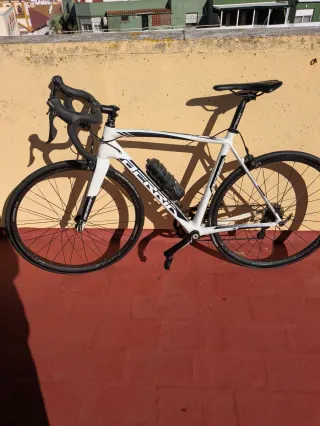 Bici Carretera Berria Falcon M