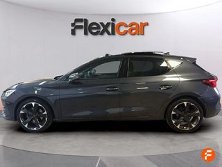 Cupra León 1.5 eTSI 110kW (150CV) DSG