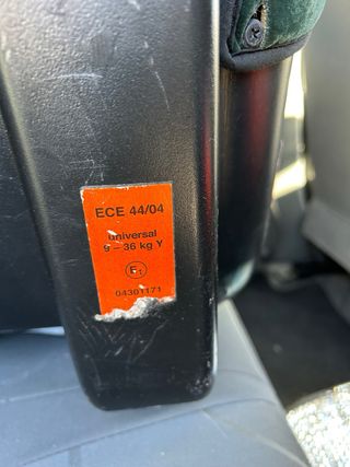 Silla de coche infantil Young Sport