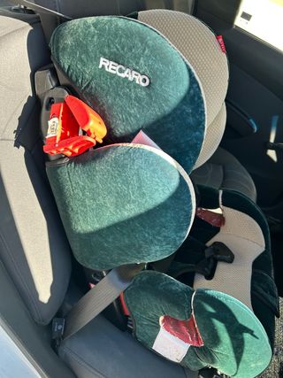 Silla de coche infantil Young Sport