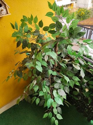 Planta artificial decorativa!! Hoy 25€