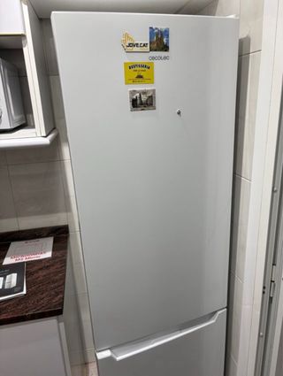 Nevera Combi Cecotec