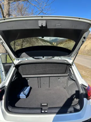 Volkswagen T-Roc alquiler