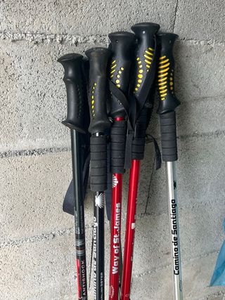 Bastones de Trekking (precio pareja)