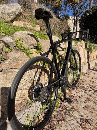 Bicicleta Trek de ruta negra