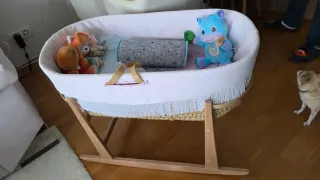 Moises o Cuco de mimbre para bebé