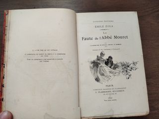 LA FAUTE DE L'ABBE MOURET; Madame Bovary