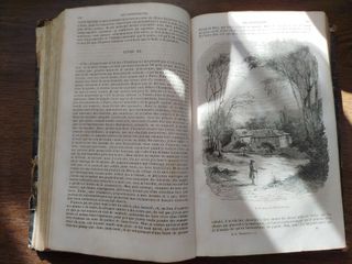 LA FAUTE DE L'ABBE MOURET; Madame Bovary