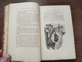 LA FAUTE DE L'ABBE MOURET; Madame Bovary