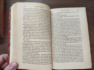 LA FAUTE DE L'ABBE MOURET; Madame Bovary