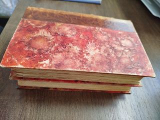 LA FAUTE DE L'ABBE MOURET; Madame Bovary