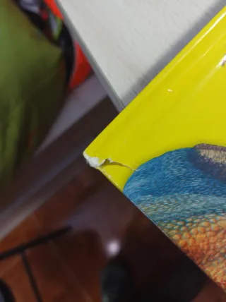 ¡Dinosaurios! (Spanish Edition)