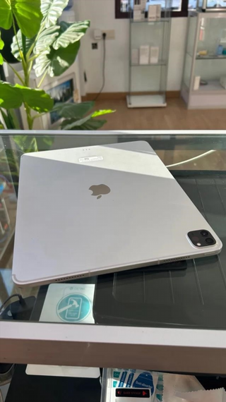 iPad Pro 12.9 5ª Gen 256GB WiFi + LTE Plata