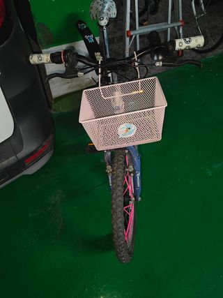Bicicleta infantil 20 niña con cesta