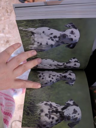 Libro illustrato sui cani