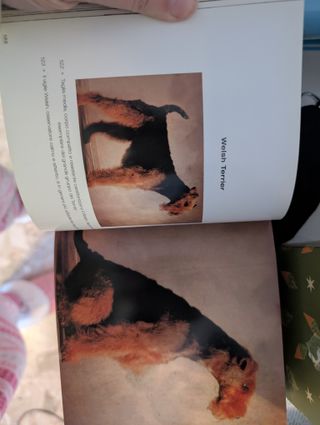 Libro illustrato sui cani