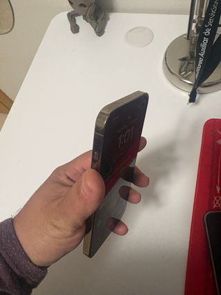 iPhone 13 Pro 256GB Dorado