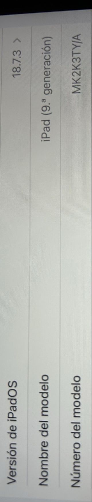 Apple iPad 9ª generación gris espacial