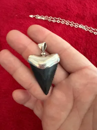 Colgante plata Camarón y mas cosas