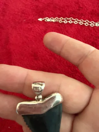 Colgante plata Camarón y mas cosas