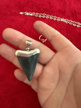 Colgante plata Camarón y mas cosas