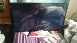 Televisor Engel 32 LED