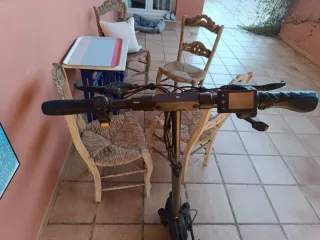 Patinete Smartgyro Speedway