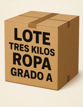 Lote 3 kilos Ropa Grado A RODRIGO